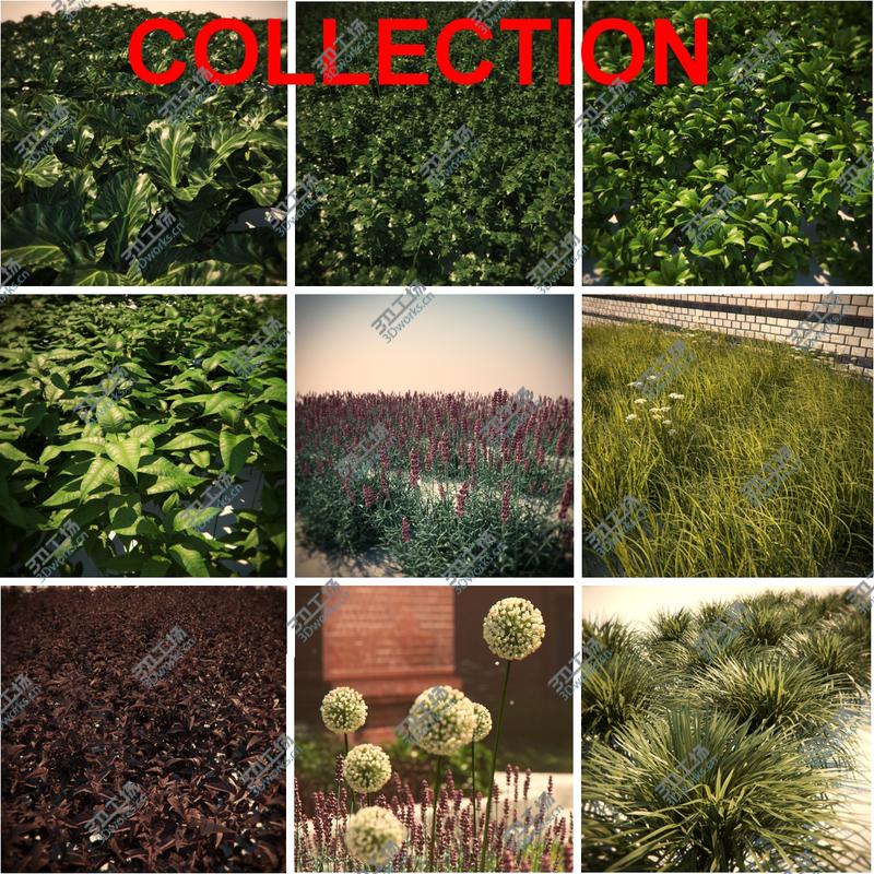 images/goods_img/2021040235/HQ Vegetation Pack (9 Models)/1.jpg
